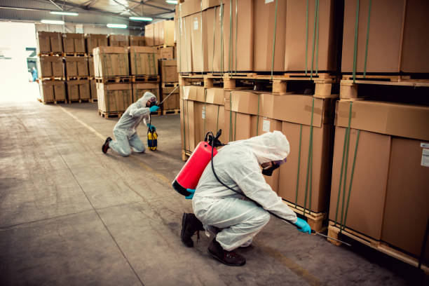 Best Affordable Pest Control Services  in Goleta, CA