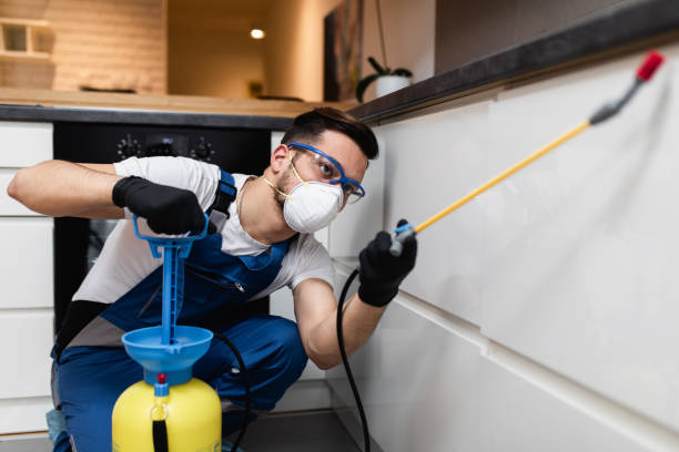 Reliable Goleta, CA Pest Control Solutions