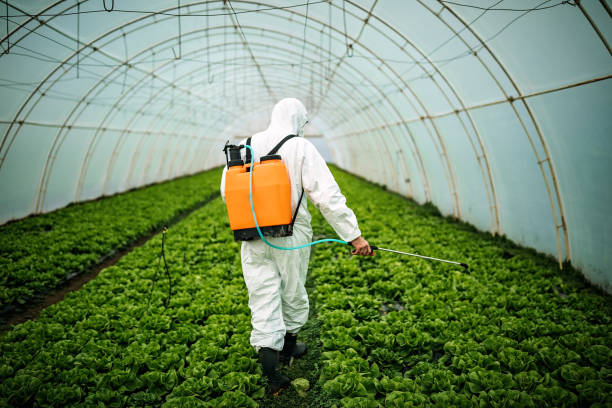 Best Pest Control Near Me  in Goleta, CA