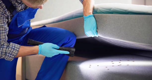 Best Pest Removal Services  in Goleta, CA